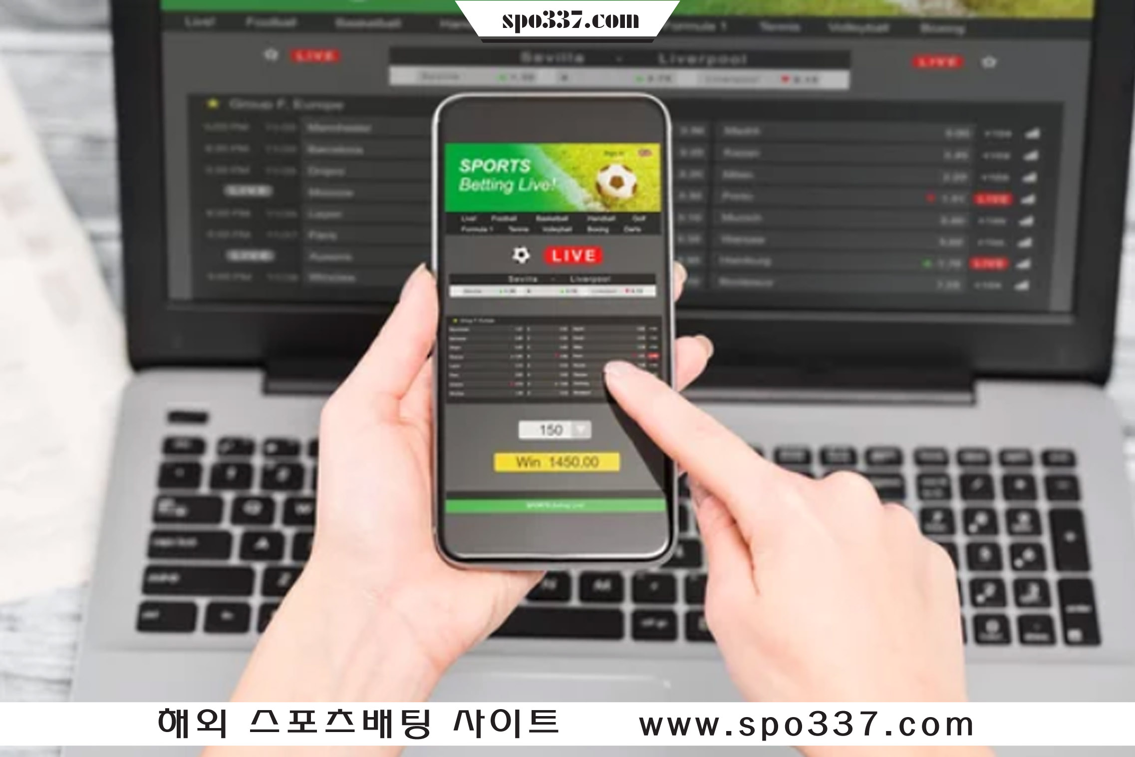 머니라인247