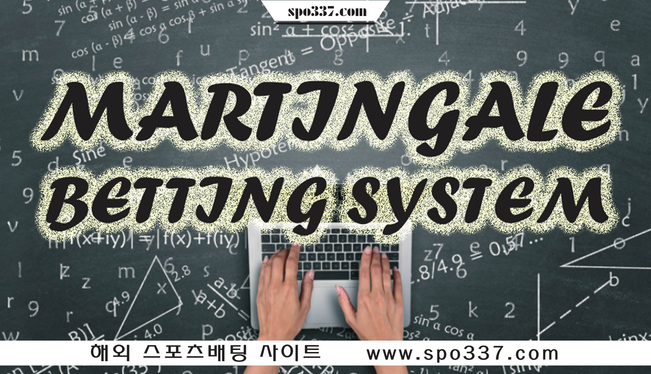 마틴게일 배팅 시스템